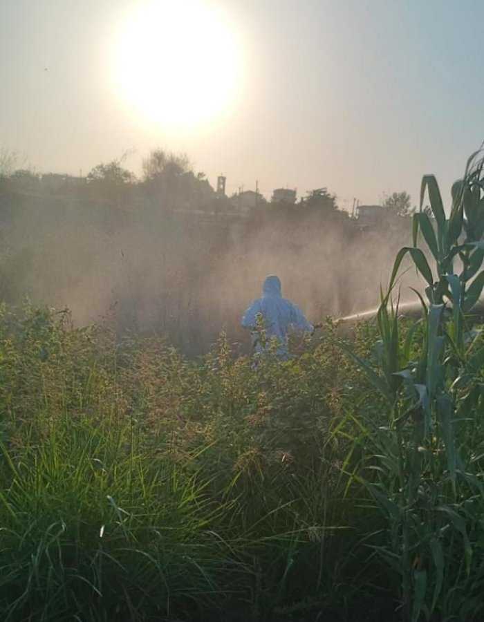 Alt